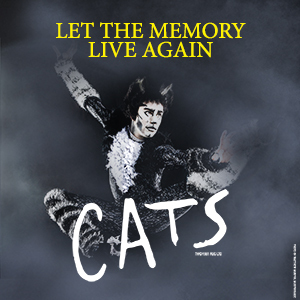 CATS - ON SALE NOW