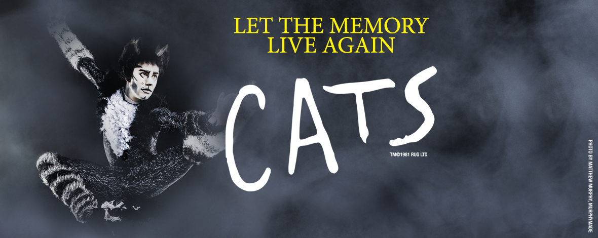 CATS - ON SALE NOW